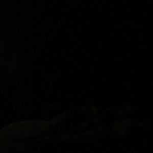 Meet your Posher, Kendall